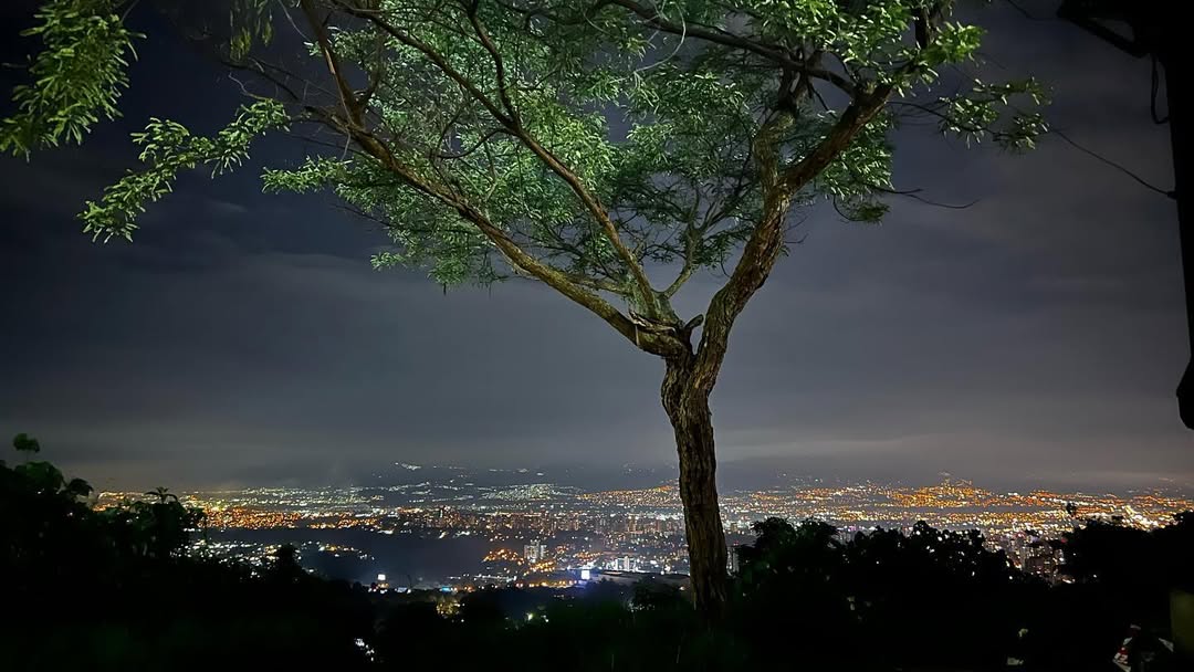 Vista del océano desde la cabina